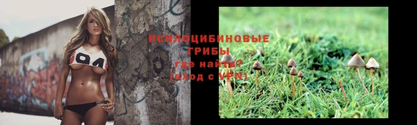 марки lsd Заводоуковск