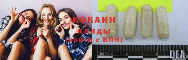 сатива Заволжск