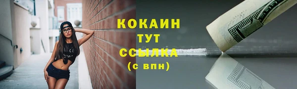 сатива Заволжск