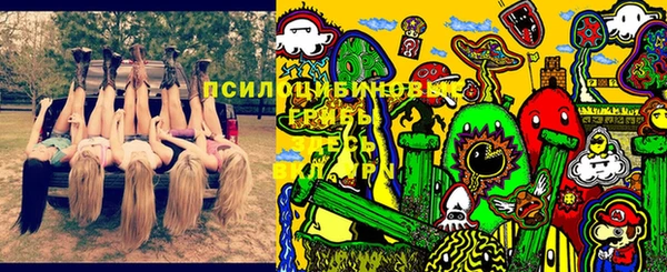 марки lsd Заводоуковск